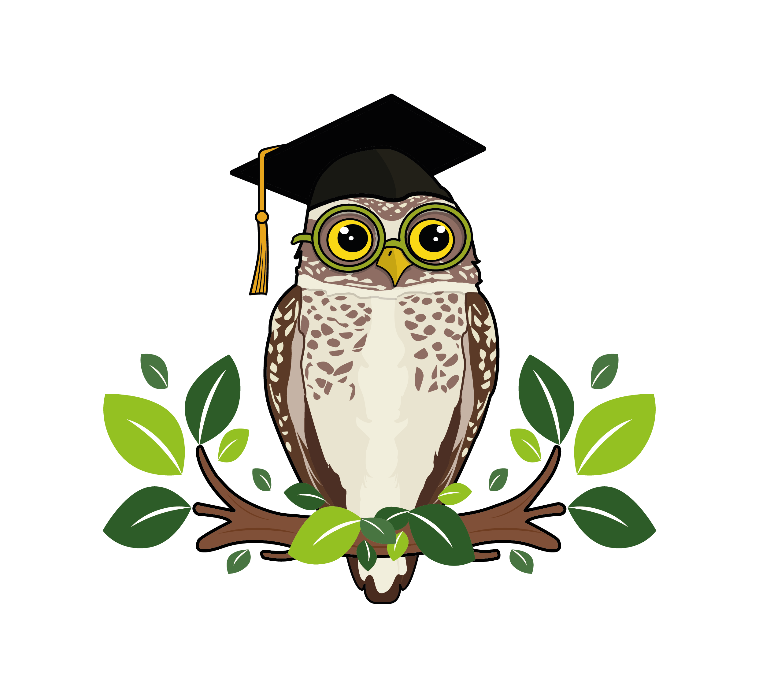 Shoco Wellness Logo